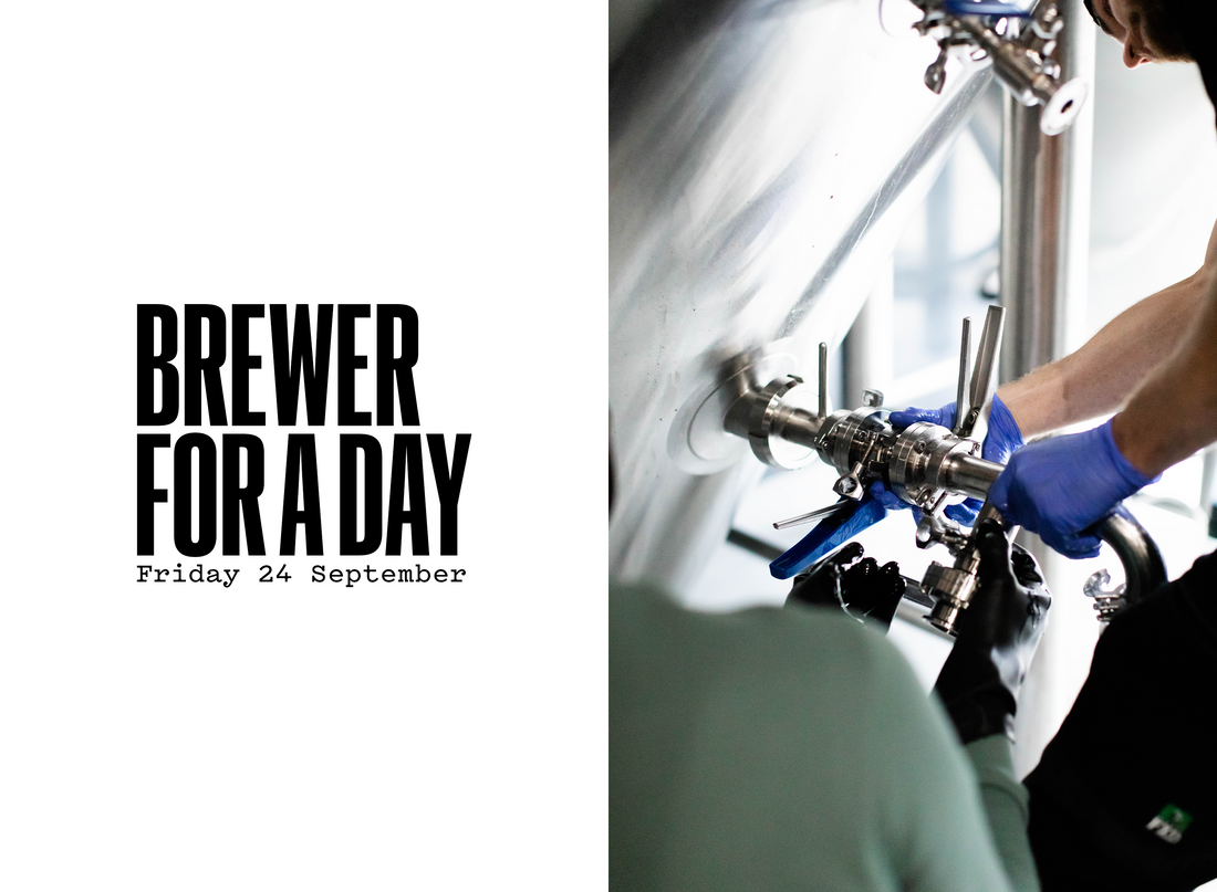 Want to be a Brewer for a Day?